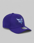 39Thirty Charlotte Hornets