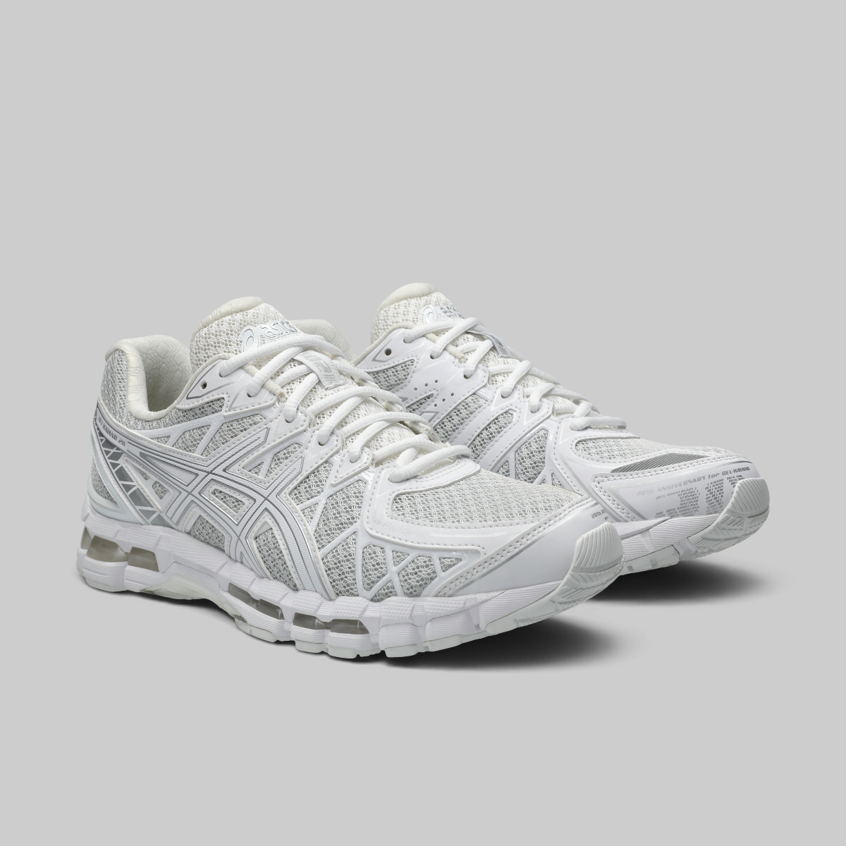 Gel-Kayano 20 - Glacier Grey/White
