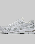Gel-Kayano 20 - Glacier Grey/White