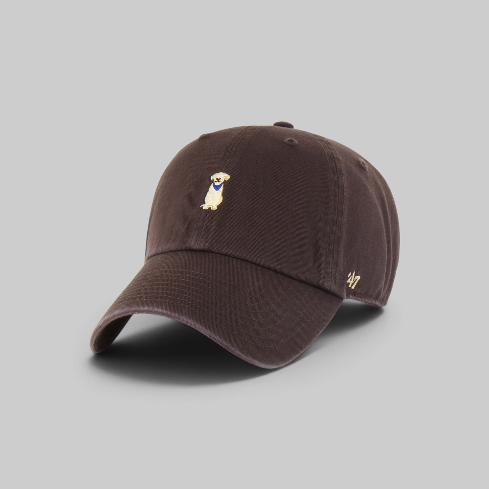 Clean Up Icon Labrador