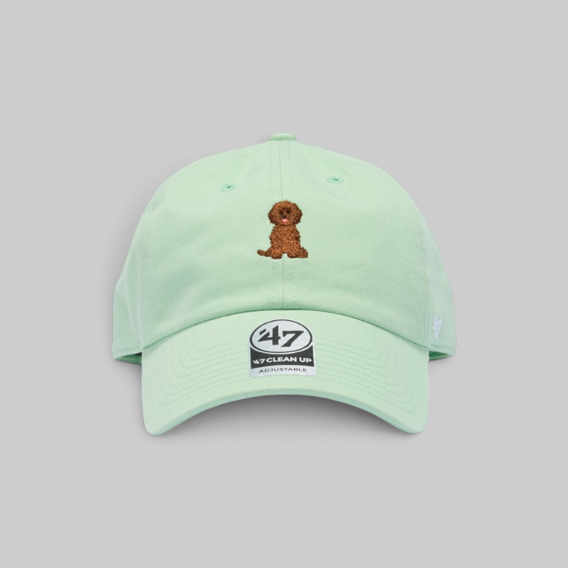 Clean Up Icons Poodle