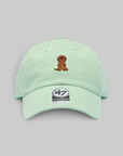Clean Up Icons Poodle