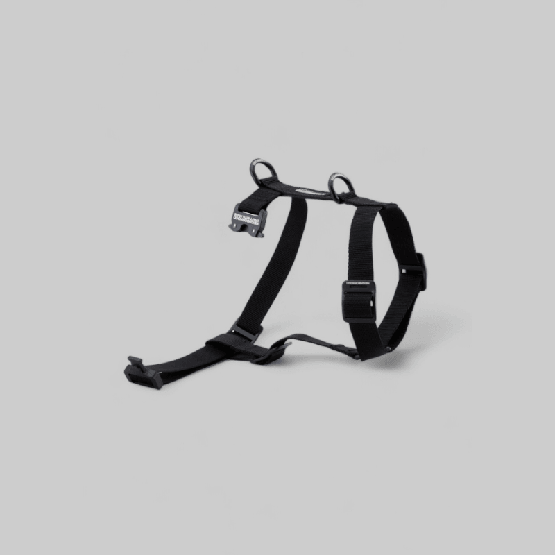 Dog Harness - Black