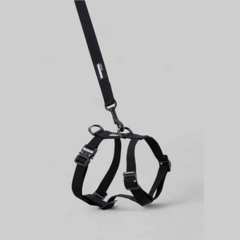 Dog Harness - Black