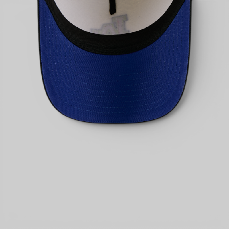9Forty A-Frame Snapback Los Angeles Dodgers