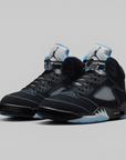 Air Jordan 5 Retro "Black Carolina"