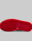 Women's Air Jordan 1 Retro Hi OG "Nails And Grail"