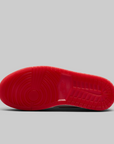 Women's Air Jordan 1 Retro Hi OG "Nails And Grails"