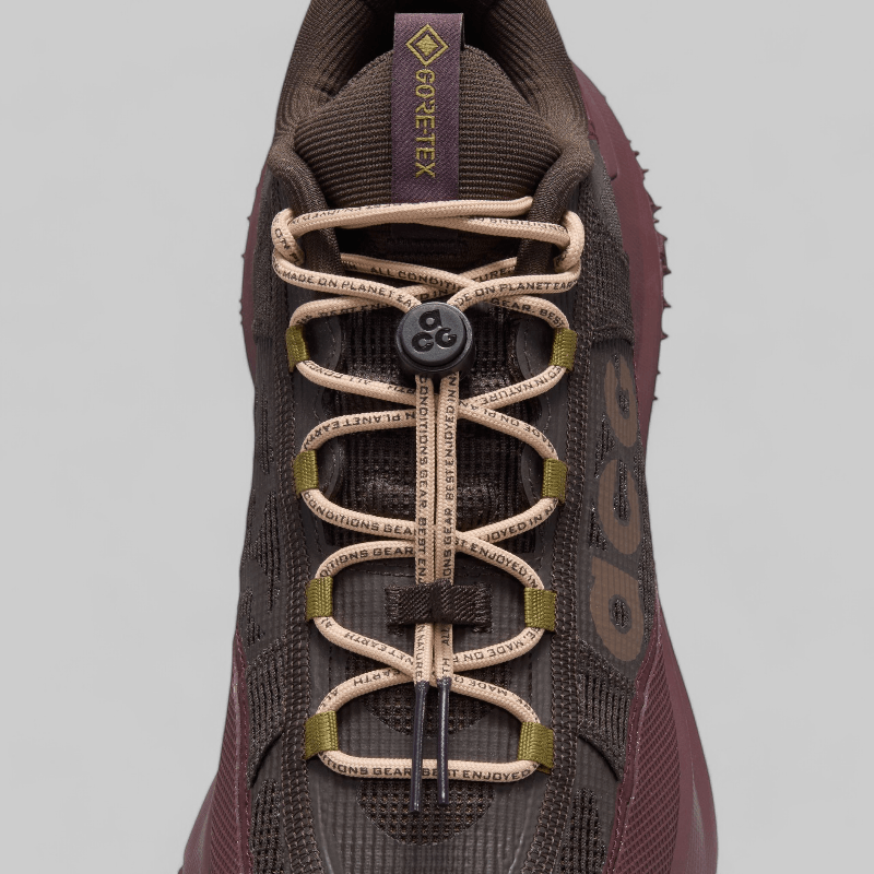 ACG Mountain Fly 2 Low Gore-Tex &quot;Velvet Brown&quot;