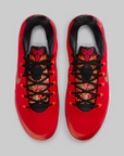 Kobe IX EM Low Protro "China"