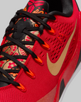 Kobe IX EM Low Protro "China"