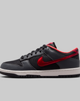 Kobe Dunk Low Protro "WNBA All-Star"