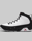 Air Jordan 9 Retro "Space Jam"