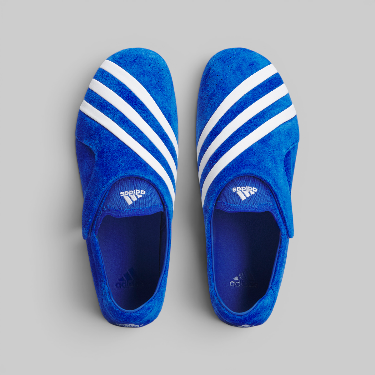 X Pharrell Williams Vario Flat Earther - Blue/White