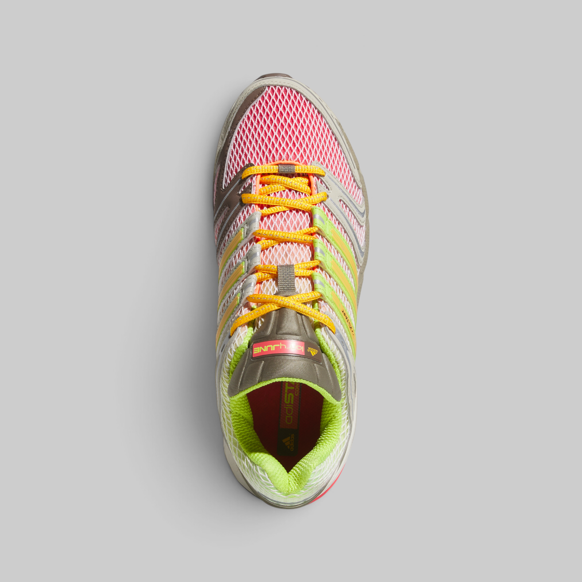 x Larry June Adistar Control 5 "Watermelon Smoothie"