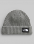Salty Lined Beanie - Grey