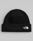 Salty Lined Beanie - TNF Black