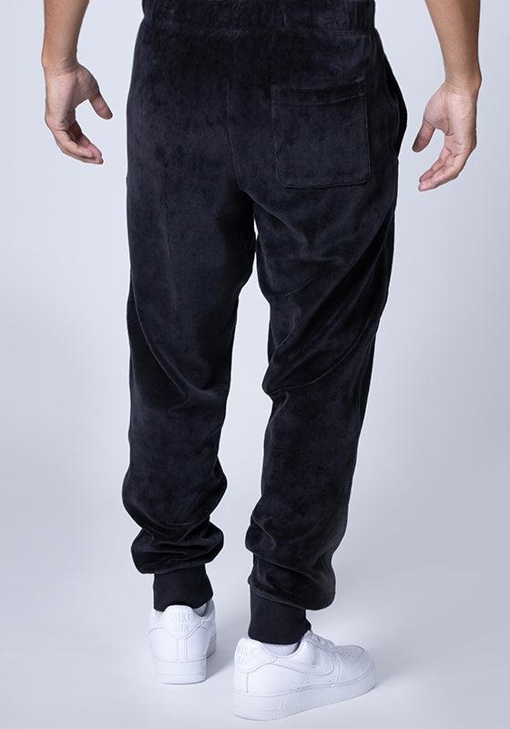 Carhartt united 2024 script jogging pant