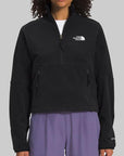 W Polar Tech 100 Fleece 1/4 Zip - TNF Black - LOADED